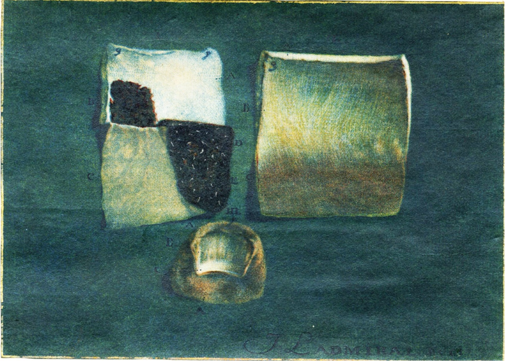 Coloured plate which shows the thumb and two pieces of skin from an African woman. One piece of skin, shown in the top left of the plate, has been dissected to show the position of the pigmented layer within it.