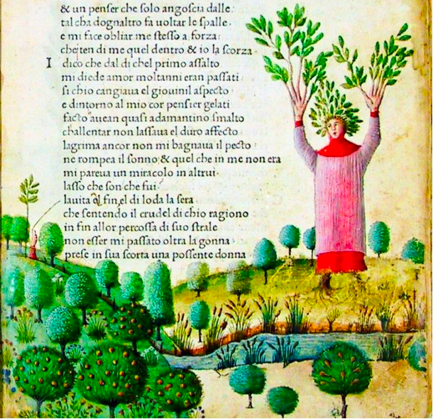 Manuscript image of Petrarch turning into a tree