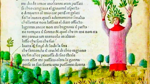 Petrarch turning into a tree
